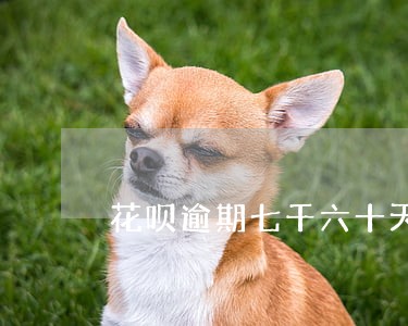 花呗逾期七千六十天会怎么样 花呗逾期七千六十天会怎么样