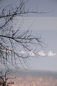 花呗逾期七天会怎样 花呗逾期七天会怎样