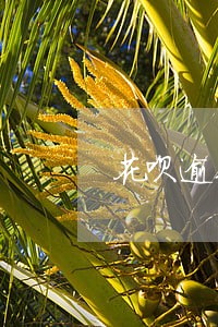 花呗逾期七天内还款还能用吗 花呗逾期七天内还款还能用吗