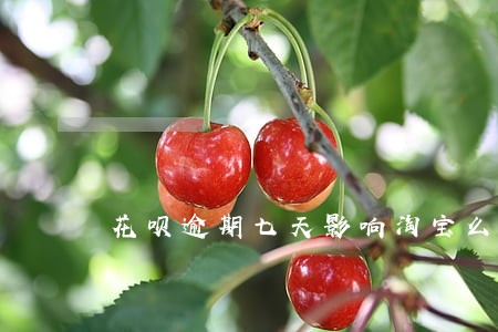 花呗逾期七天影响淘宝么 花呗逾期七天影响淘宝么