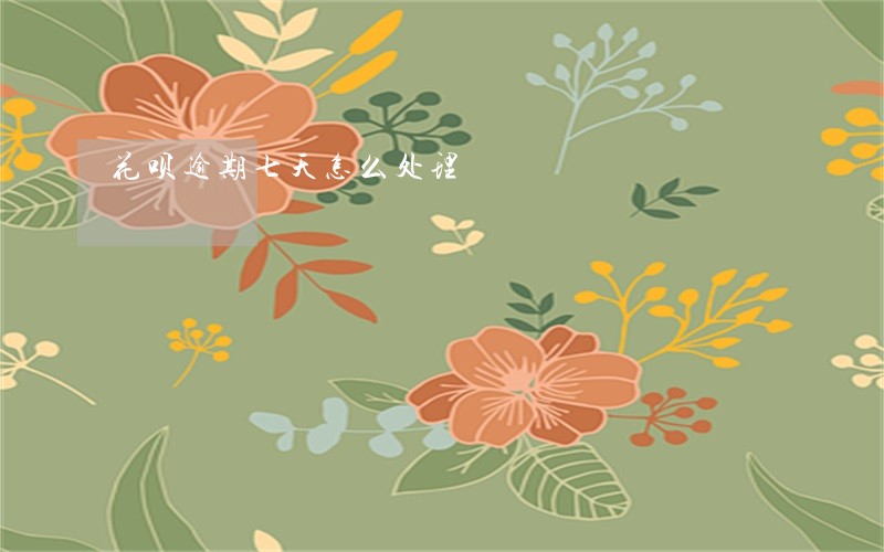 花呗逾期七天怎么处理 花呗逾期七天怎么处理