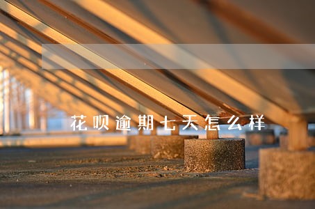 花呗逾期七天怎么样