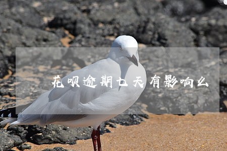 花呗逾期七天有影响么 花呗逾期七天有影响么