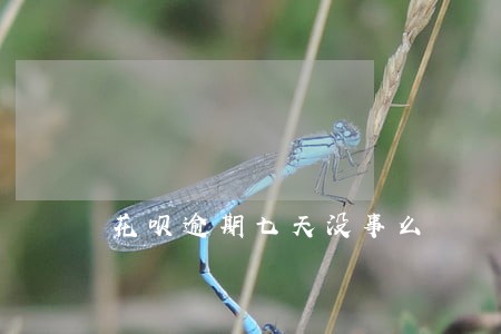 花呗逾期七天没事么