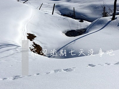 花呗逾期七天没事吧