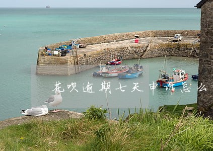 花呗逾期七天申诉怎么说 花呗逾期七天申诉怎么说
