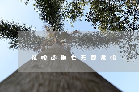 花呗逾期七天要紧吗 花呗逾期七天要紧吗