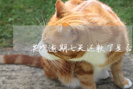 花呗逾期七天还款了是否还能使用 花呗逾期七天还款了是否还能使用