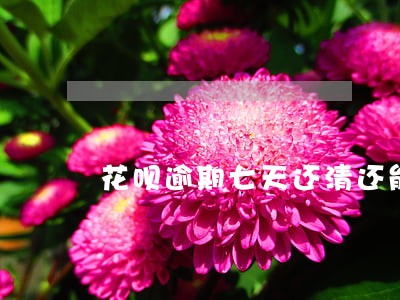 花呗逾期七天还清还能用吗 花呗逾期七天还清还能用吗