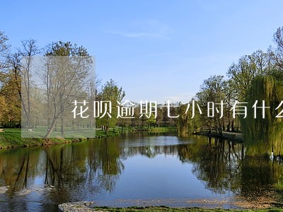 花呗逾期七小时有什么后果 花呗逾期七小时有什么后果