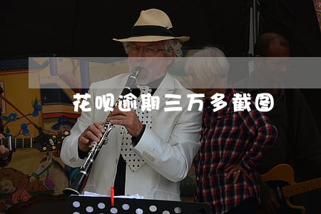 花呗逾期三万多截图 花呗逾期三万多截图