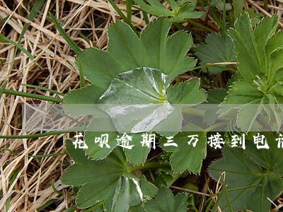 花呗逾期三万接到电话说的要上门 花呗逾期三万接到电话说的要上门