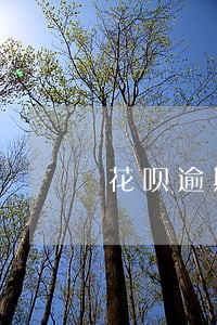 花呗逾期三个月900 花呗逾期三个月900