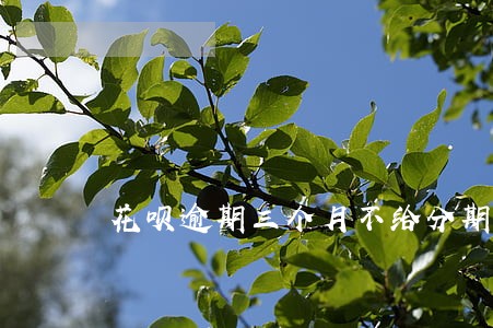 花呗逾期三个月不给分期 花呗逾期三个月不给分期