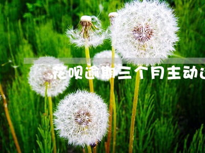 花呗逾期三个月主动还款了 花呗逾期三个月主动还款了