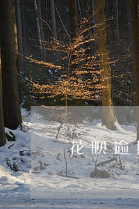 花呗逾期三个月了上征信么 花呗逾期三个月了上征信么