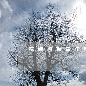 花呗逾期三个月了有没有这种情况 花呗逾期三个月了有没有这种情况
