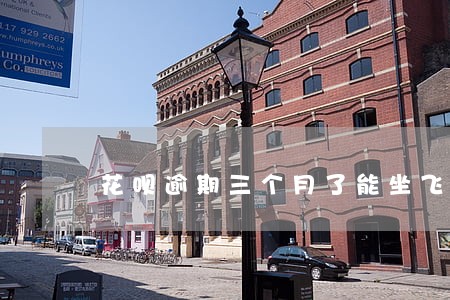 花呗逾期三个月了能坐飞机吗 花呗逾期三个月了能坐飞机吗