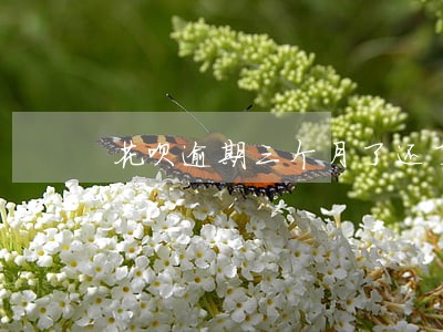 花呗逾期三个月了还了还可以用吗 花呗逾期三个月了还了还可以用吗