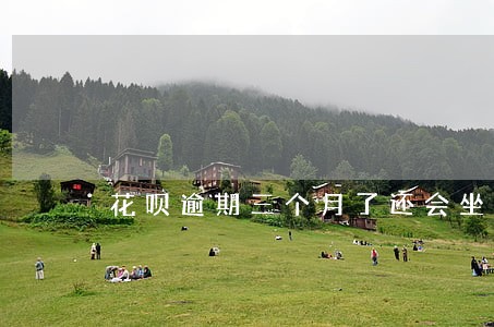 花呗逾期三个月了还会坐牢吗 花呗逾期三个月了还会坐牢吗
