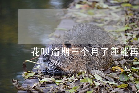 花呗逾期三个月了还能再用吗 花呗逾期三个月了还能再用吗