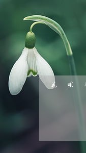 花呗逾期三个月会上门催款吗 花呗逾期三个月会上门催款吗