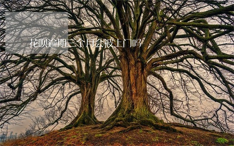 花呗逾期三个月会被上门吗
