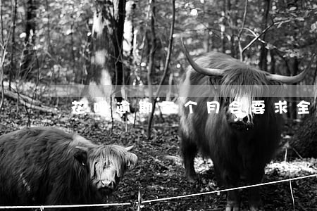花呗逾期三个月会要求全款吗 花呗逾期三个月会要求全款吗