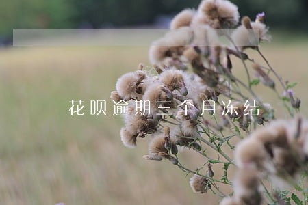 花呗逾期三个月冻结