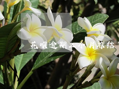花呗逾期三个月冻结了多久能恢复 花呗逾期三个月冻结了多久能恢复