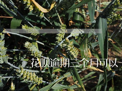 花呗逾期三个月可以一点点还吗 花呗逾期三个月可以一点点还吗