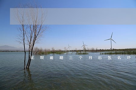 花呗逾期三个月后怎么还花呗 花呗逾期三个月后怎么还花呗