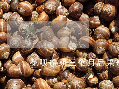 花呗逾期三个月后果是什么 花呗逾期三个月后果是什么