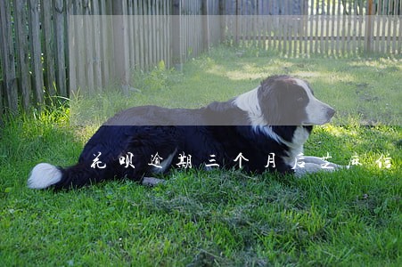 花呗逾期三个月后芝麻信用卡吗 花呗逾期三个月后芝麻信用卡吗