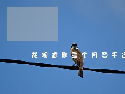 花呗逾期三个月四千还了两千 花呗逾期三个月四千还了两千