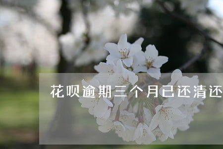 花呗逾期三个月已还清还能启用吗