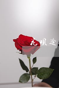 花呗逾期三个月征信严重吗 花呗逾期三个月征信严重吗