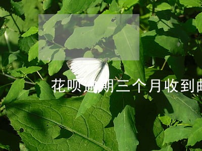 花呗逾期三个月收到邮件 花呗逾期三个月收到邮件