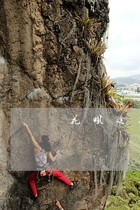 花呗逾期三个月没事吗 花呗逾期三个月没事吗