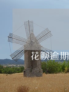 花呗逾期三个月芝麻信用还款 花呗逾期三个月芝麻信用还款