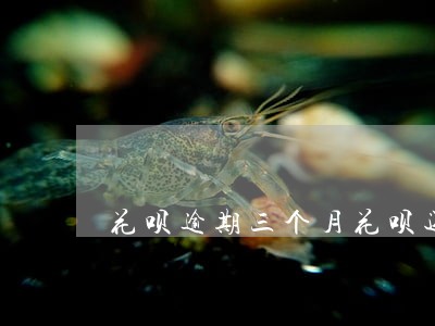 花呗逾期三个月花呗还能用吗 花呗逾期三个月花呗还能用吗