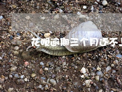 花呗逾期三个月还不上怎么办 花呗逾期三个月还不上怎么办