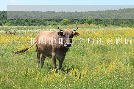 花呗逾期三个月还会影响征信吗 花呗逾期三个月还会影响征信吗