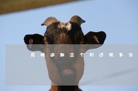花呗逾期三个月还完多久能恢复 花呗逾期三个月还完多久能恢复