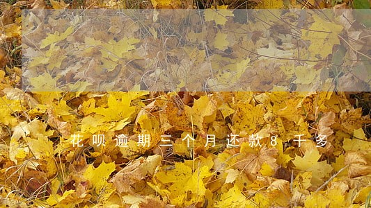 花呗逾期三个月还款8千多 花呗逾期三个月还款8千多