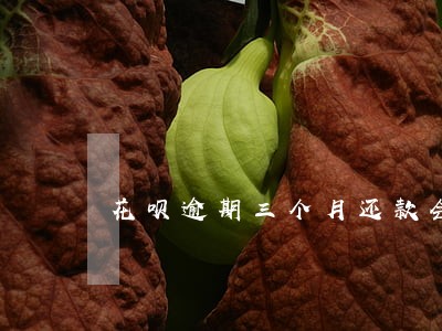 花呗逾期三个月还款会怎么样 花呗逾期三个月还款会怎么样