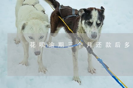 花呗逾期三个月还款后多久能恢复 花呗逾期三个月还款后多久能恢复