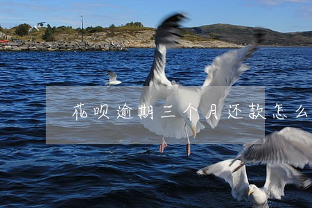 花呗逾期三个月还款怎么恢复花呗 花呗逾期三个月还款怎么恢复花呗