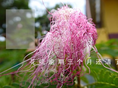 花呗逾期三个月还清了可以开通吗 花呗逾期三个月还清了可以开通吗