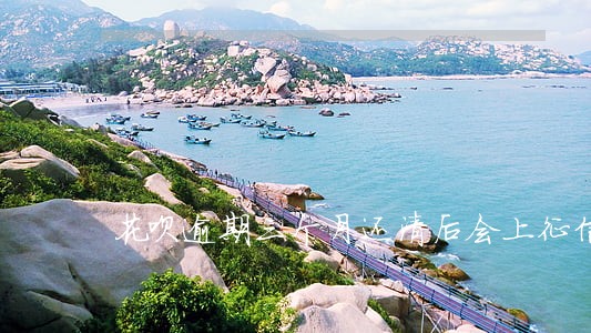 花呗逾期三个月还清后会上征信吗 花呗逾期三个月还清后会上征信吗